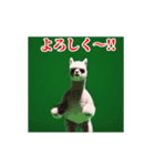 激しく動く！うざいアルパカ！（個別スタンプ：6）