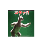 激しく動く！うざいアルパカ！（個別スタンプ：18）