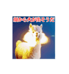 激しく動く！うざいアルパカ！（個別スタンプ：22）