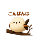 しまちゃんと一緒:丁寧語（個別スタンプ：3）