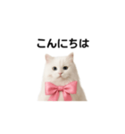 ピンクのリボンの子猫ちゃん（個別スタンプ：1）