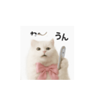 ピンクのリボンの子猫ちゃん（個別スタンプ：4）
