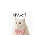 ピンクのリボンの子猫ちゃん（個別スタンプ：5）