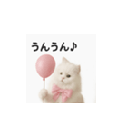 ピンクのリボンの子猫ちゃん（個別スタンプ：6）