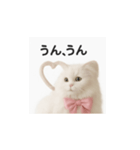 ピンクのリボンの子猫ちゃん（個別スタンプ：8）