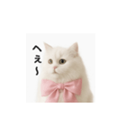 ピンクのリボンの子猫ちゃん（個別スタンプ：11）