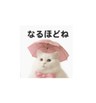 ピンクのリボンの子猫ちゃん（個別スタンプ：15）
