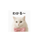ピンクのリボンの子猫ちゃん（個別スタンプ：20）