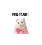 ピンクのリボンの子猫ちゃん（個別スタンプ：23）
