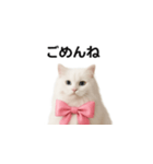ピンクのリボンの子猫ちゃん（個別スタンプ：24）