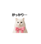 ピンクのリボンの子猫ちゃん（個別スタンプ：25）