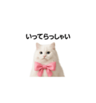 ピンクのリボンの子猫ちゃん（個別スタンプ：28）