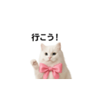 ピンクのリボンの子猫ちゃん（個別スタンプ：29）