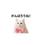 ピンクのリボンの子猫ちゃん（個別スタンプ：31）