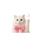 ピンクのリボンの子猫ちゃん（個別スタンプ：32）