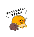 土佐弁を話すあんぱん あんまる＆ぱんじろう（個別スタンプ：35）