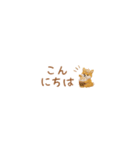 癒し芝犬の極省スペースで丁寧敬語（個別スタンプ：3）