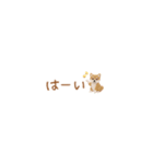 癒し芝犬の極省スペースで丁寧敬語（個別スタンプ：7）