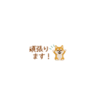 癒し芝犬の極省スペースで丁寧敬語（個別スタンプ：28）