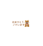 癒し芝犬の極省スペースで丁寧敬語（個別スタンプ：37）