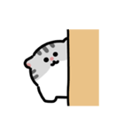 たれ耳スコティッシュ 動くスタンプ（個別スタンプ：12）