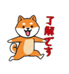 [了解です専用]シバ犬（個別スタンプ：1）