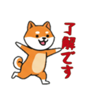 [了解です専用]シバ犬（個別スタンプ：2）