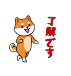 [了解です専用]シバ犬（個別スタンプ：3）
