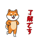 [了解です専用]シバ犬（個別スタンプ：4）
