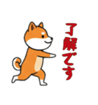 [了解です専用]シバ犬（個別スタンプ：7）