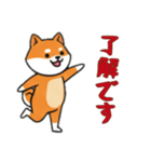 [了解です専用]シバ犬（個別スタンプ：8）