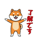 [了解です専用]シバ犬（個別スタンプ：9）