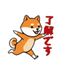 [了解です専用]シバ犬（個別スタンプ：11）