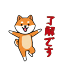 [了解です専用]シバ犬（個別スタンプ：15）