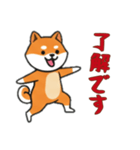 [了解です専用]シバ犬（個別スタンプ：16）