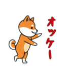 [オッケー専用]シバ犬（個別スタンプ：6）