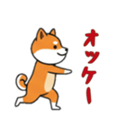 [オッケー専用]シバ犬（個別スタンプ：7）