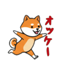 [オッケー専用]シバ犬（個別スタンプ：8）
