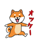 [オッケー専用]シバ犬（個別スタンプ：11）