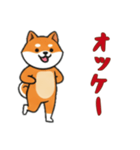 [オッケー専用]シバ犬（個別スタンプ：12）