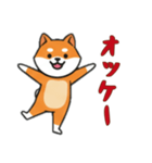 [オッケー専用]シバ犬（個別スタンプ：13）