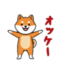 [オッケー専用]シバ犬（個別スタンプ：16）