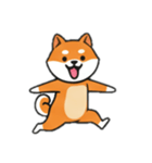 [アレンジ用]シバ犬と一緒（個別スタンプ：10）