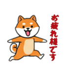 [お疲れ様です専用]シバ犬（個別スタンプ：1）