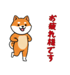 [お疲れ様です専用]シバ犬（個別スタンプ：2）