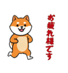 [お疲れ様です専用]シバ犬（個別スタンプ：5）