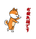 [お疲れ様です専用]シバ犬（個別スタンプ：10）