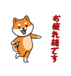 [お疲れ様です専用]シバ犬（個別スタンプ：11）