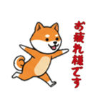 [お疲れ様です専用]シバ犬（個別スタンプ：12）