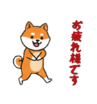 [お疲れ様です専用]シバ犬（個別スタンプ：13）